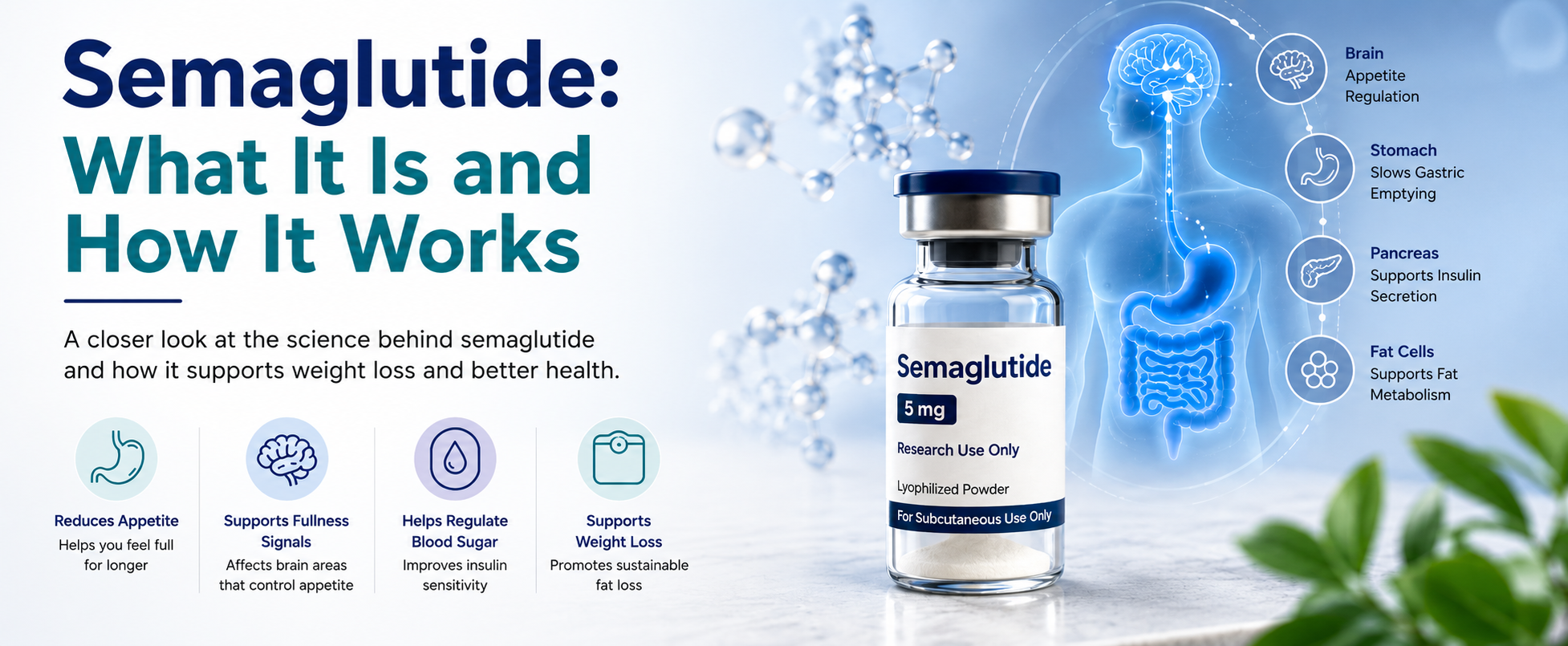 Semaglutide Peptides
