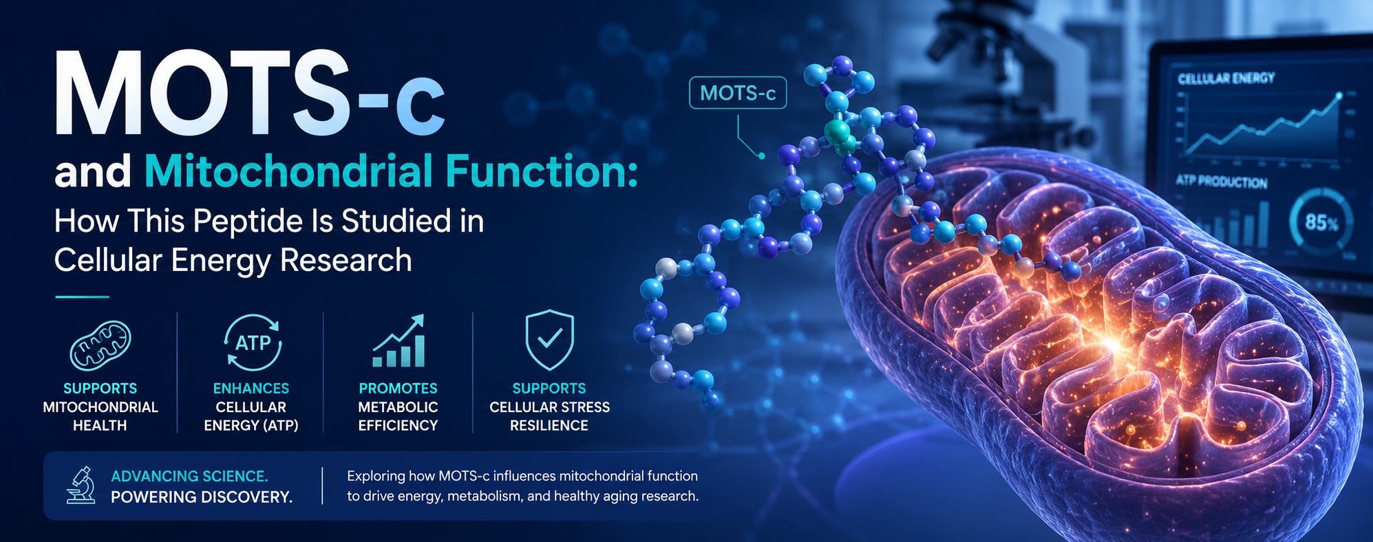 MOTS-c and Mitochondrial Function